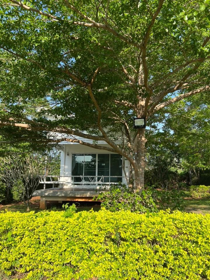 บ้านปีเตอร์ 3